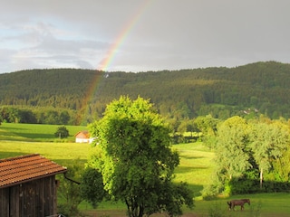 Aussicht