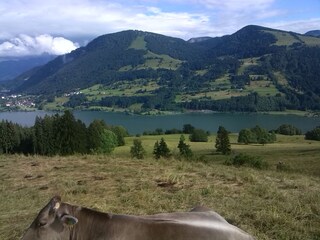 View of the Alpsee