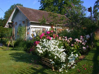 Flowering splendour in front of the tool shed