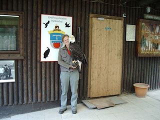 Bild von Greifvogelstation Hellenthal