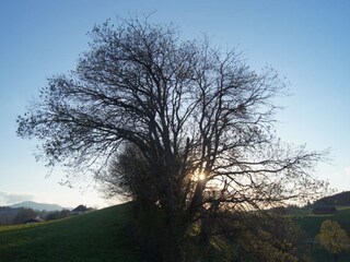 Natur Pur