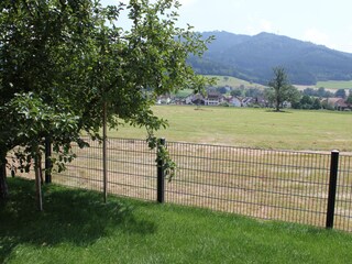 The large earth terrace with fruit trees, flowers, herb