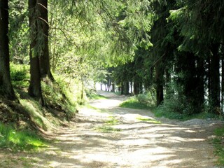 Chalet Bütgenbach Environnement 27