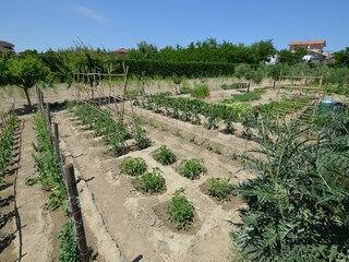 Apartamento Bellaria  39