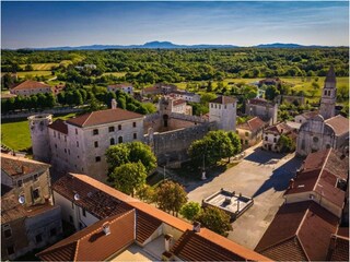 Svetivincenat