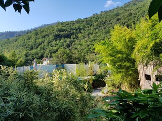 Blick auf Pool und Kinder-Bambushaus
