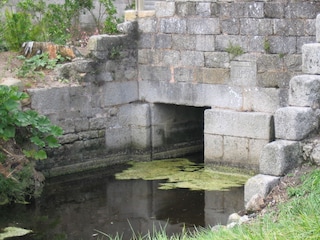 Gartengrundstück