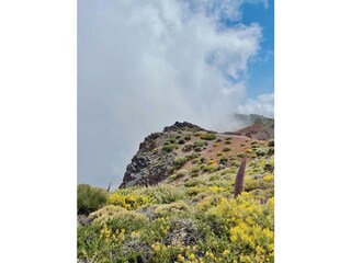 Roque de los Muchachos