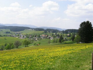 Saig im Frühling