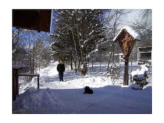 wie schön ist ein Winterspaziergang