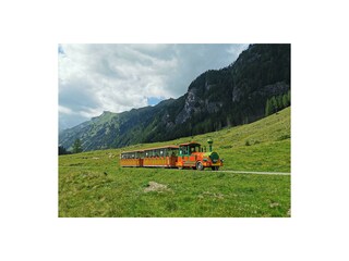 Tschutschubahn