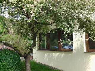 Außenansicht Wohnzimmer