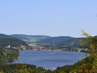 Der Titisee