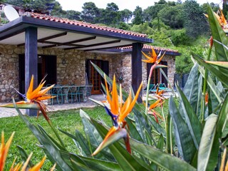 Holiday house Capoliveri Outdoor Recording 4