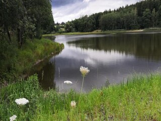Maison de vacances Güntersberge Environnement 38