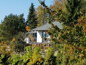 Ferienhaus " Weinberg" - Groß Nemerow - image1