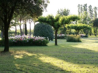 Casa de vacaciones Faenza Grabación al aire libre 7
