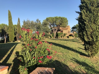 Holiday house Caldana Environment 28