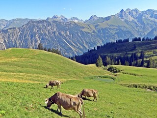 Appartement de vacances Oberstaufen Environnement 32
