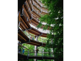 Treetop course at Prora