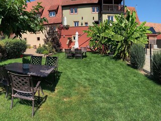 Vakantieappartement Pfaffenheim Omgeving 23