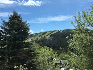 Ausblick Wintergarten