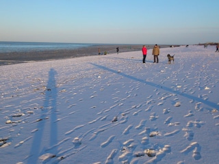 Strand im Winter