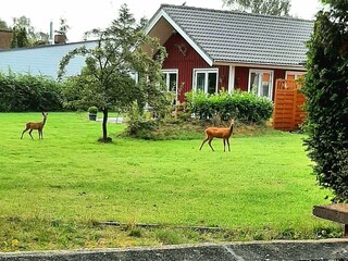 Visit in the garden