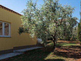 Villa Pula Registrazione all'aperto 15