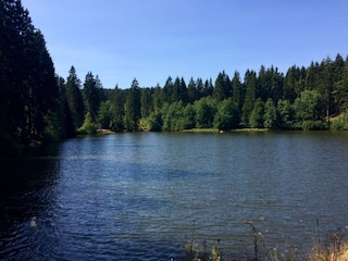 Altenauer Hüttenteich in unmittelbarer Umgebung