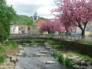 An der Bever in Dalhausen