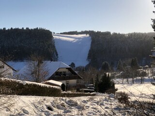 Holiday house Willingen Environment 34