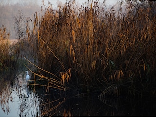 Lake Kremmen
