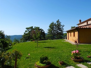 Ferienhaus Cortona Außenaufnahme 6