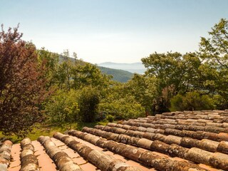 Ferienhaus Cortona Außenaufnahme 4