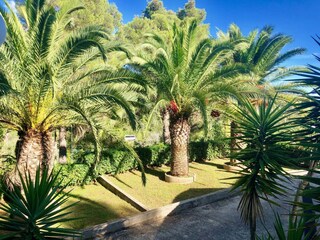 Vakantieappartement Capoliveri Buitenaudio-opname 5