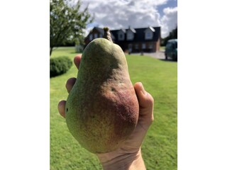 Spätsommer Ernte