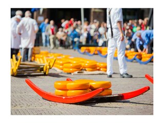 Vakantieappartement Egmond aan Zee Omgeving 28