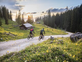 Mountainbiking