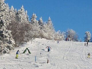 Ski - Snowboard