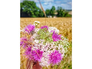 Wandern um  Stadtilm
