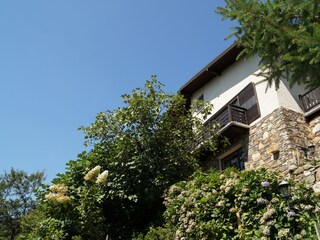 Exterior view from the house