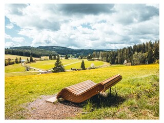 Vakantieappartement Lenzkirch Omgeving 26