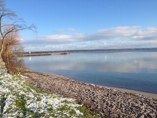 Unsere Müritz in Winter