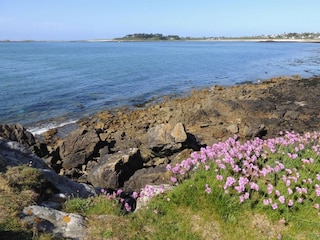 Vakantiehuis Landéda Omgeving 18