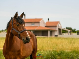 Ferienhaus Ana