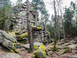 Schnarcherklippe