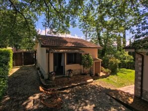 Ferienhaus in Selci mit Salzwasserpool - Selci - image1
