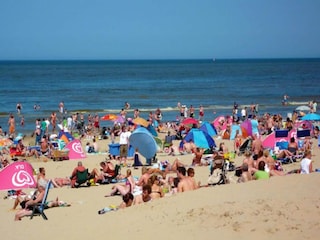 Ferienpark Egmond aan Zee Umgebung 29
