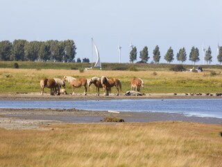 Ferienpark Veere Umgebung 22